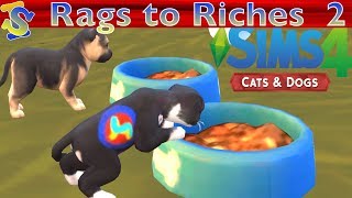 Let's Play The Sims 4 Rags to Riches Cats and Dogs EP2