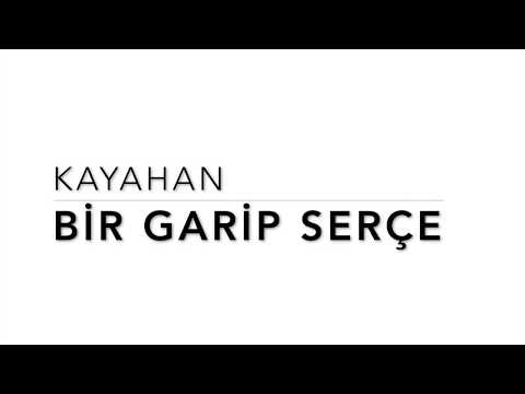 Video thumbnail for Bir Garip Serçe