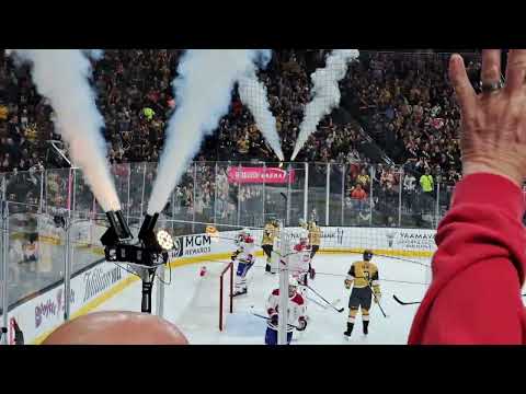 Ivan Barbashev first goal as a Vegas Golden Knight