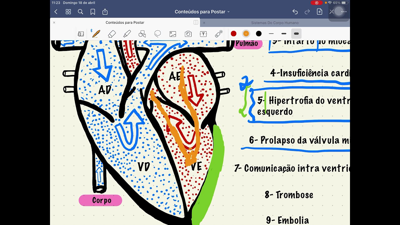 Patologia do sistema cardiovascular