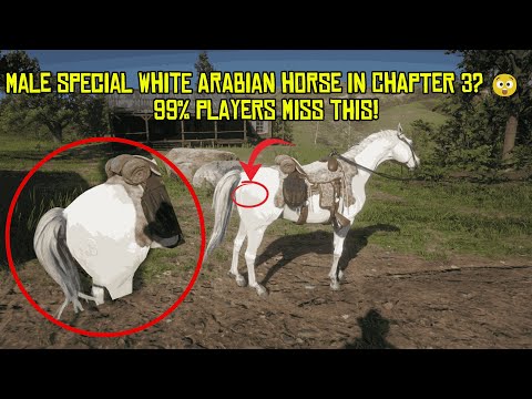 99% Players MISSED This SECRET Horse in Chapter 3! 🐎💥 RDR2