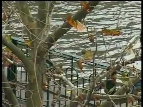 Amedeo Bazzarelli - Io Senza Lei