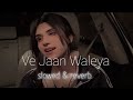 Ijazat Falak Slowed Reverb Lofi Song We Jaan Waliya Slowed Reverb Lofi Song