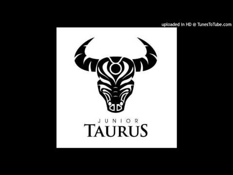 Junior Taurus & Lady Zamar feat. Odyssey 012 - Mother Of Melodies (Mamelodi)