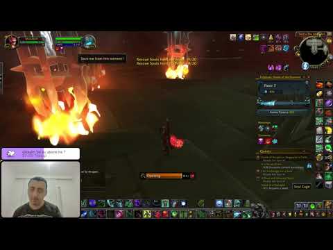 9.1.5 Havoc Demon Hunter Torghast AFK Boss Kill . (Layer 12)
