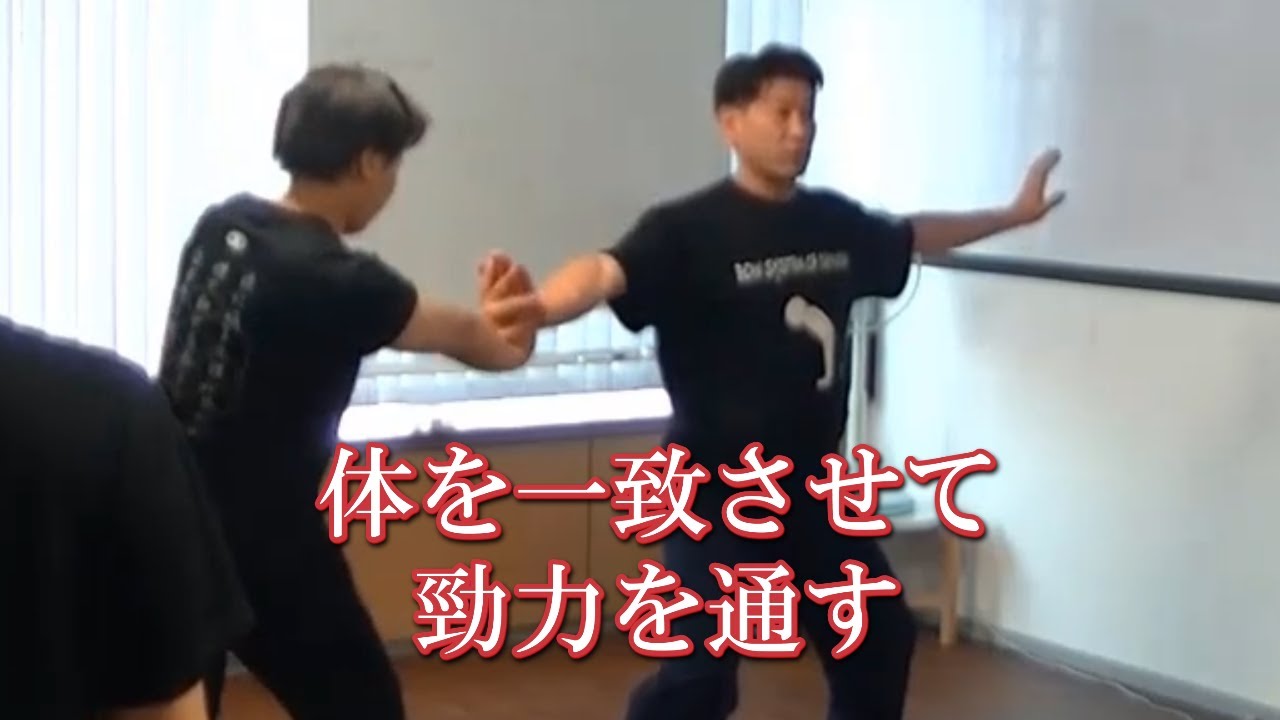 八極拳の基礎訓練！体を一致させて勁力を通す【武学チャンネル】