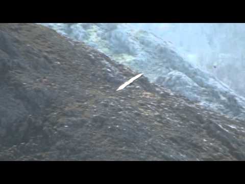 "GLORIA" Vytautas Miskinis   OÑATIKO GANBARA ABESBATZA