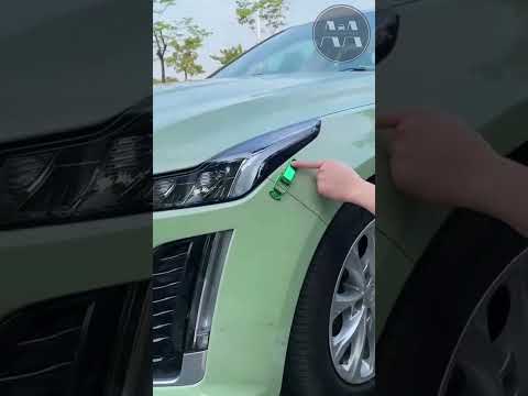 Auto Bumper Clip Hasp