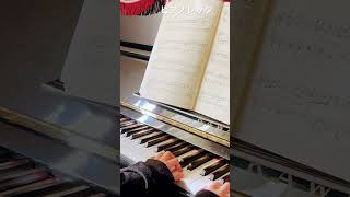 サウンドツリー4A「ピアノレッタ」