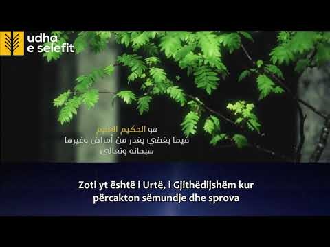 Sëmundja dhe sprova Shejh Bin Bazi (Allahu e mëshiroftë)