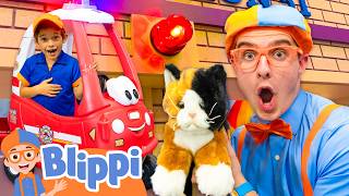 Blippi Saves a Kitty at the Playground! 🐈