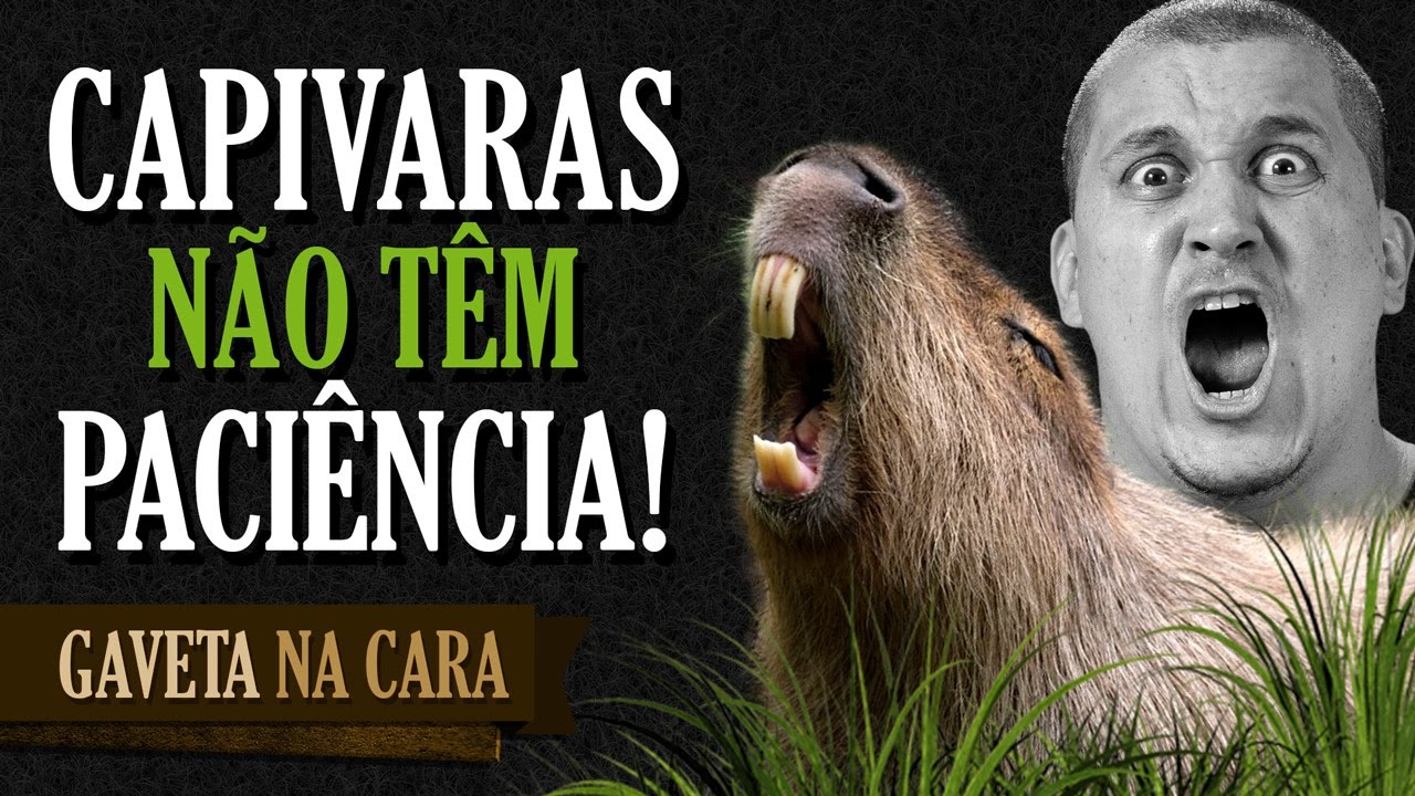Capivaras não têm paciência - Gaveta na Cara & CCXP 2016 | Gaveta Show #51