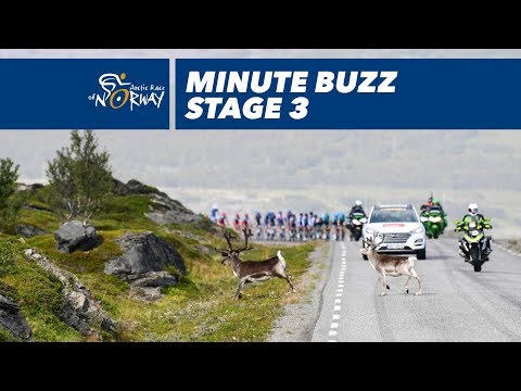 Minute buzz, best pictures - Stage 3 - Arctic Race of Norway 2018