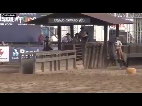 PALETEADA LOS HERMANOS CIMMARRON