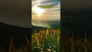 Download lagu Story WA ✨ #beautifulday #shorts mp3