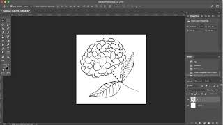 How to Change the Color of Line Art on Photoshop