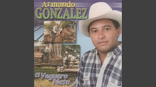 Tu Eres La Única Culpable