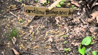 Bent Knee - Skin (Lyric Video)