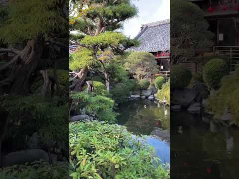 園芸 ロワイヤンの世界の庭園 (17)