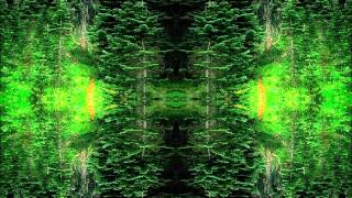 Blacklight - Synthetic Djura