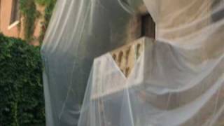 Zeca Afonso - Mulher da erva