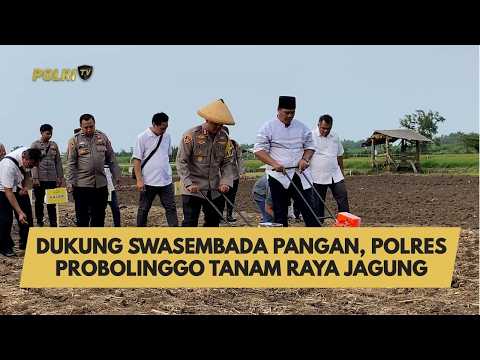 DUKUNG SWASEMBADA PANGAN, POLRES PROBOLINGGO TANAM RAYA JAGUNG