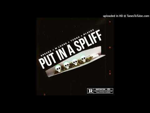 #NPK Sneakz x MLoose x Tugga x Blackz - Put In A Spliff (Acapella)