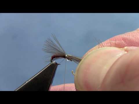 Fly Tying with Hans: CDC MIDGE EMERGER