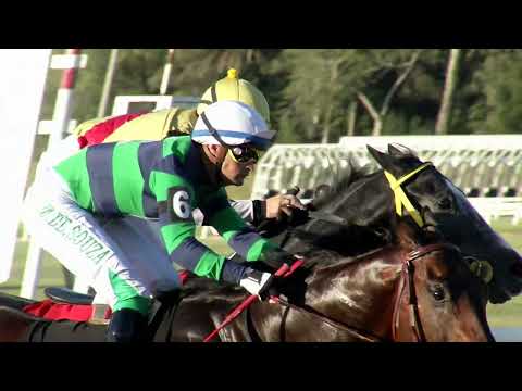 221106 c09 JOGO RAPIDO (BRZ)