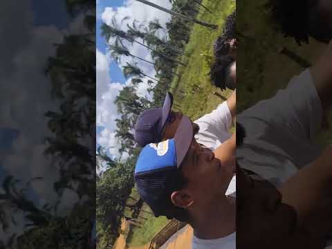 povoado Riachão Sucupira do Riachão Maranhão Brasil 🇧🇷