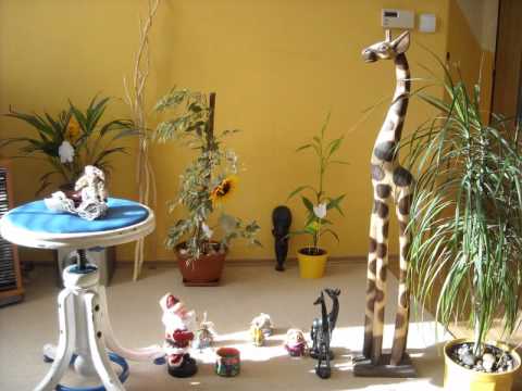 Čerstvý Schody - Kafka