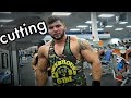 Diário de um Bodybuilder em Miami #103 - De volta em Cutting ?!