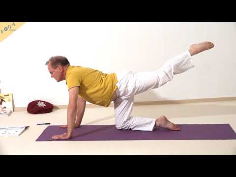 Dynamische Katze mit Knie zum Kopf und Bein ausgestreckt - Marjaryasana - Yoga Asana Lexikon