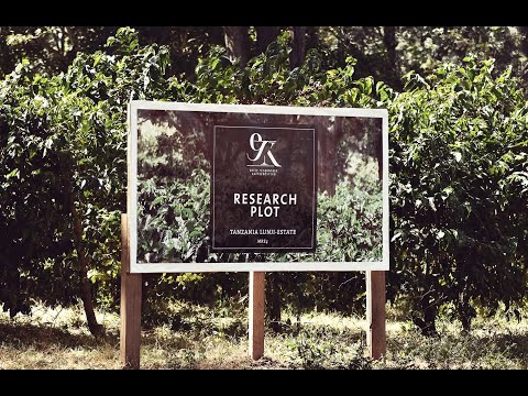 ETK Research Plot MBE4, Lunji-Estate, Mbeya, Tanzania - Der Film