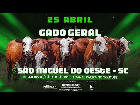 Leilão de Gado Geral, SÃO MIGUEL DO OESTE/SC - 25/04/2026 14h