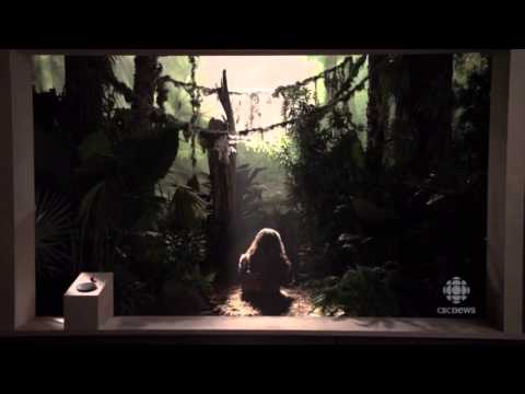 How Humans Evolved with Fruit