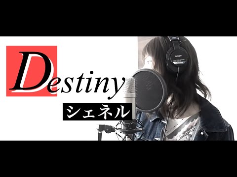 【シェネル/Destiny】自分が望む運命を信じて歌う【ドラマ”リバース”主題歌】 Video