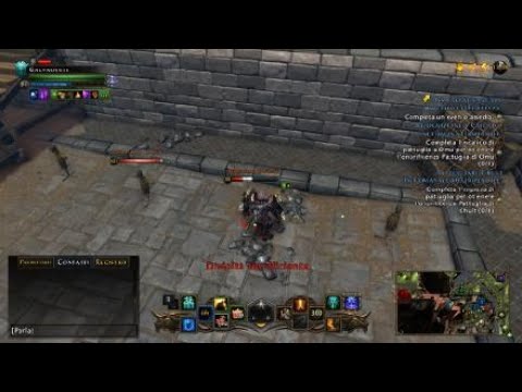 Neverwinter Paladin tank test dps