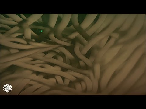 Porat - Concentrate [Video Clip / 8K]