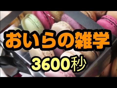 , title : 'おいらの雑学3600秒'