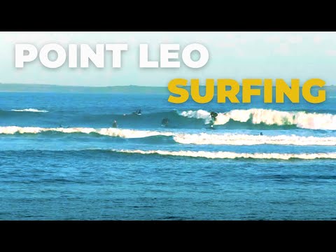 Surfers at Point Leo Victoria September 6 2016