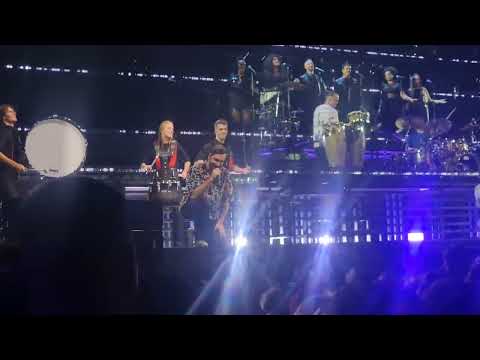 Metejoor - Hoe kon ik zo dom zijn