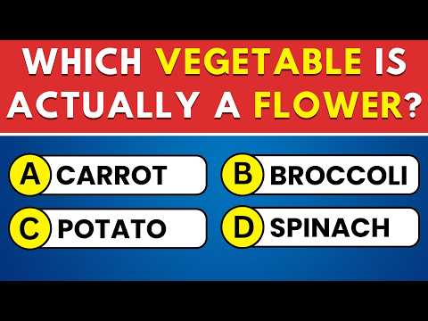 Test Your Knowledge with This 50-Question General Knowledge Quiz 🏆 Trivia Time!