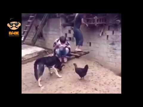 download lagu mp3 mp4 Video Lucu Buzz Up, download lagu Video Lucu Buzz Up gratis, unduh video klip Video Lucu Buzz Up