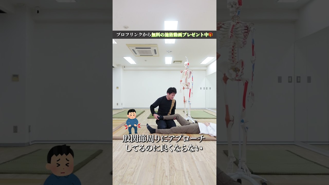 股関節の違和感、原因はここ？大腿直筋・内転筋・後脛骨筋の関係を解説