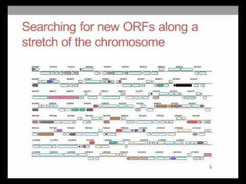 What is gene annotation? Video