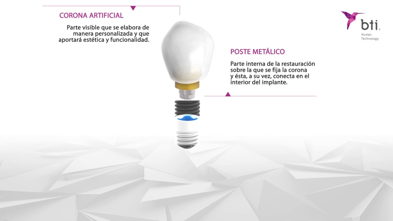 Paulina Domínguez Solís-15