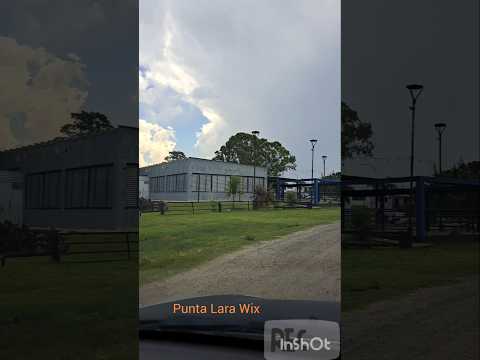 Domingo gris en Punta Lara |Ensenada