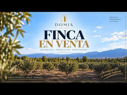 FINCA EN VENTA | RODEO DEL MEDIO, MAIPÚ – MENDOZA