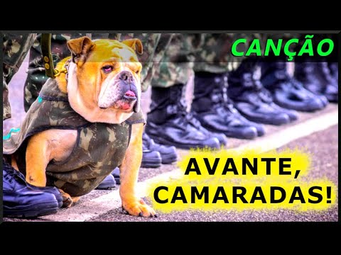 Canção: Avante, Camaradas! (Legendado)